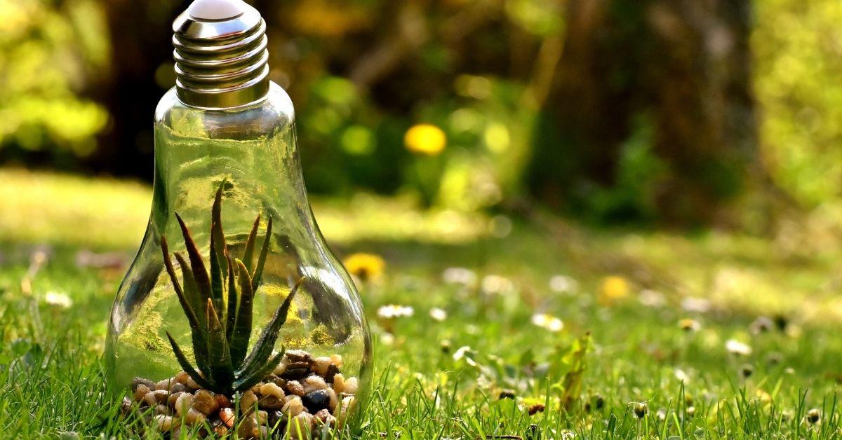 خط الزمن في البرمجة اللغوية العصبية